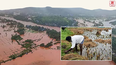 अतिवृष्टीग्रस्त शेतकऱ्यांना सरकारचा दिलासा! खचलेल्या, बुजलेल्या विहिरींच्या दुरुस्तीसाठी मिळणार ३० हजारांपर्यंत अर्थसहाय्य