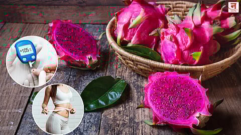 Dragon Fruit Benefits : कॅन्सर, मधुमेहासह अनेक गंभीर आजार राहतील दूर; वाचा ड्रॅगन फ्रूटचे अफलातून फायदे