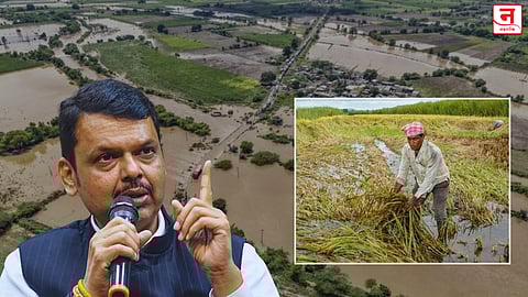 शेतकऱ्यांचे ‘देवाभाऊ’