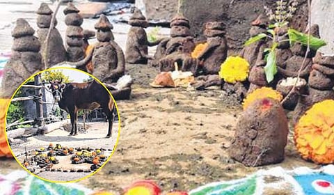 आला दिवाळीचा सण, करा कृषिसंस्कृतीचा जागर