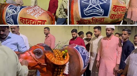 नाशिक जिल्हा कायद्याचा बालेकिल्ला! रेड्याच्या पाठीवर We Support Nashik Police चा संदेश देणारी अनोखी मिरवणूक
