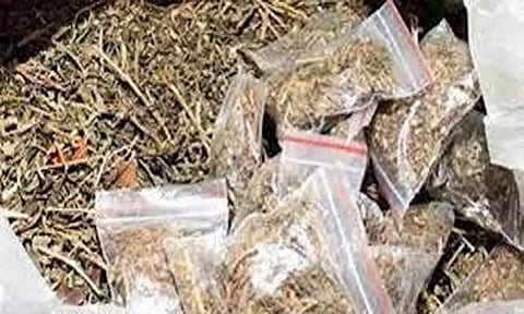 प्रातिनिधिक छायाचित्र 
