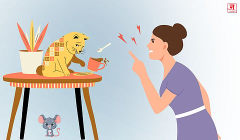 कुलूप 'कटकट'