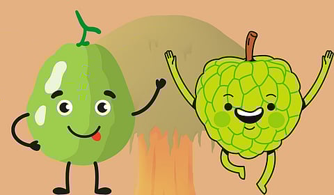 निष्फळ भांडण