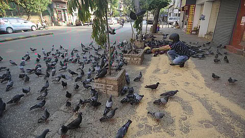 प्रातिनिधिक छायाचित्र 