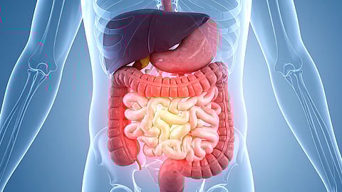 फॅटी लिव्हरचा धोका कमी करायचाय? मग हे ३ पदार्थांचा करा आहारात समावेश - डॉ. सौरभ सेठींचा सल्ला