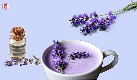 लॅव्हेंडर फुलांची नैसर्गिक जादू - तन, मन शांत करण्यासाठी उत्तम पर्याय  