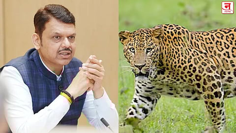 माणसांवर बिबट्यांचा हल्ला ही ‘राज्य आपत्ती’, मुख्यमंत्र्यांचे निर्देश