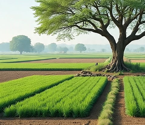 प्रातिनिधिक छायाचित्र