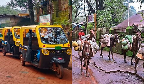 माथेरान निवडणुकीत ई-रिक्षा विरुद्ध घोडेवाले रंगणार; व्यावसायिकांचे हित आणि पर्यावरण यांची परीक्षा