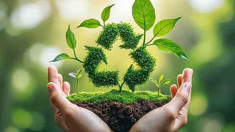 पर्यावरणाच्या मुळावर विकास!