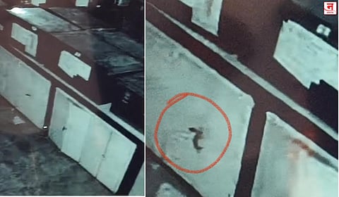 पेणमधील स्ट्रॉग रूममध्ये उंदराने दरवाजा उघडल्याने गोंधळ; CCTV मुळे सत्य समोर