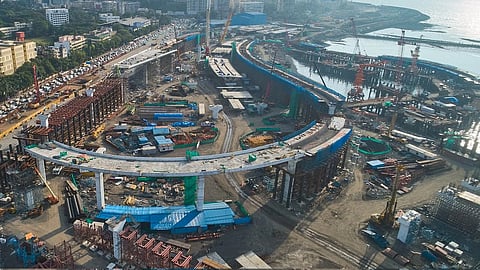 मुंबई कोस्टल रोडसाठी ९ हजार खारफुटीच्या झाडांची तोड; उर्वरित ३६,००० झाडे विविध भागांत स्थलांतरित करणार 