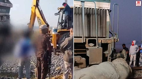 आसाममध्ये राजधानी एक्सप्रेसची हत्तींच्या कळपाला धडक; सात हत्तींचा मृत्यू, ट्रेनचे पाच डबे घसरले