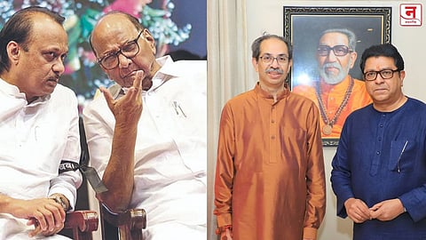 ठाकरे+ठाकरे, पवार+पवार = किती?