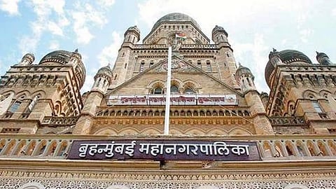 BMC Election : डॉक्टर, वकील, इंजिनिअरही निवडणुकीच्या रिंगणात! बीएड, संगणक अभियंताही निवडणुकीचे उमेदवार