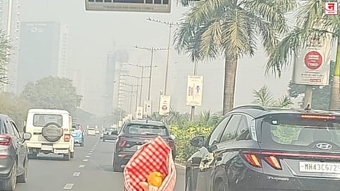 नवी मुंबई-उरण प्रदूषणाच्या विळख्यात