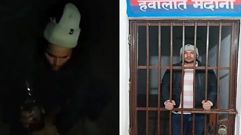 दारू पाजून भटक्या कुत्र्याचा छळ; सोशल मीडियावर Video व्हायरल, आरोपी पोलिसांच्या ताब्यात 