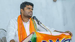 संग्रहित छायाचित्र 