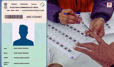 Voter ID नसेल तर मतदान कसं करायचं? जाणून घ्या 'ही' महत्त्वाची माहिती 