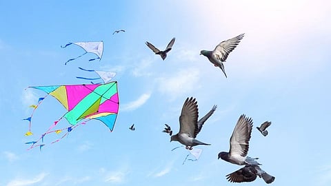 प्रातिनिधिक छायाचित्र 