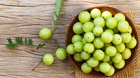 ऐन तारुण्यात केस पांढरे झाले? आवळ्यापासून घरीच बनवा नॅचरल हेअर डाय