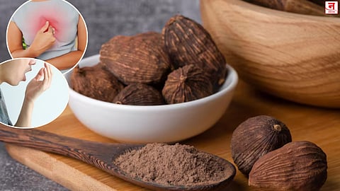 गॅस, अपचन, तोंडाची दुर्गंधी… काळी वेलची करते 'हे' सगळे त्रास दूर; जाणून घ्या पचनापासून हृदयापर्यंतचे जबरदस्त फायदे