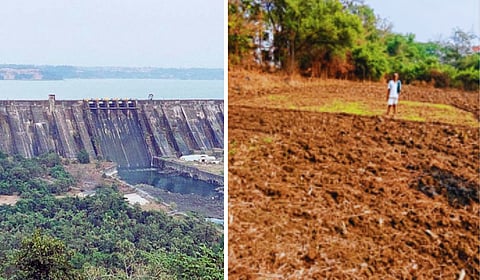 भातसा धरणातून सिंचनाचे पाणी बंद; १०८ गावपाड्यांतील शेती संकटात 