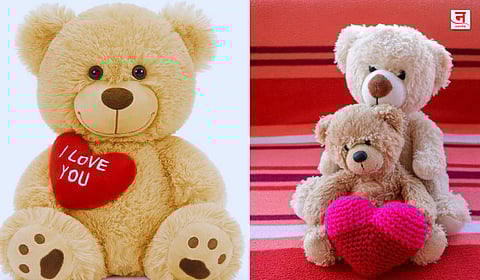 Valentine's Week : Teddy Dayचा इतिहास काय? 'टेडी' नाव पडलं तरी कसं? जाणून घ्या महत्त्व