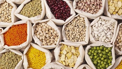 'काही डाळीं'चा उल्लेख अमेरिकेने वगळला; भारतासोबतच्या व्यापार कराराबाबत सुधारित पत्रक जाहीर