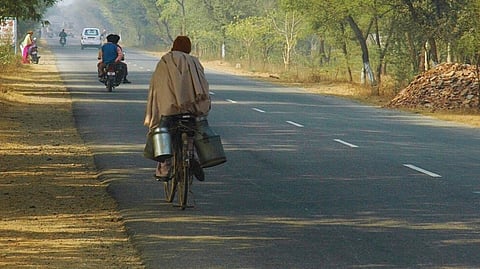 Mumbai : खासगी रस्त्याचे नाव सांगून अतिक्रमणाची कारवाई टाळू नका! BMC ला हायकोर्टाने फटकारले