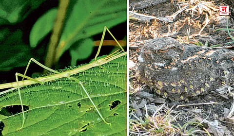 मिसळून गेले, अदृश्यच झाले..!