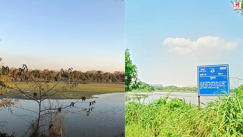 लालफितीत अडकला DPS फ्लेमिंगो तलाव; शासन निर्णयाअभावी संवर्धन रखडले; प्रशासकीय दिरंगाईचा फटका