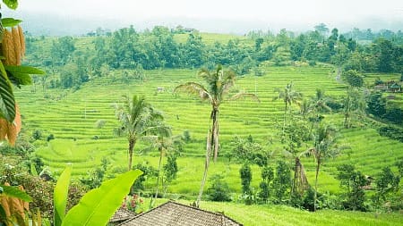 सावंतवाडी-दोडामार्गातील २५ गावे 'इको सेन्सिटिव्ह'; केंद्राने जारी केली अंतिम अधिसूचना