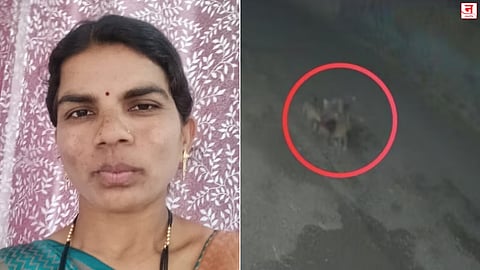 Pune : भटक्या कुत्र्यांच्या हल्ल्यात महिला ठार 