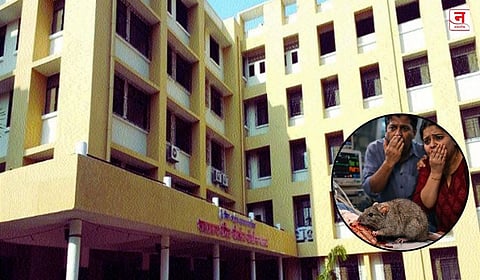 अधीक्षक सक्तीच्या रजेवर, डॉक्टर व परिचारिका निलंबित; ICUमध्ये उंदराने हात कुरतडल्याने वृद्धेचा मृत्यू