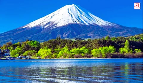 फुजीमान झिंदाबाद