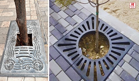 Mumbai : बीकेसीतील झाडांच्या मुळाभोवती ‘स्मार्ट कवच’; झाडांच्या मुळाचे संरक्षण