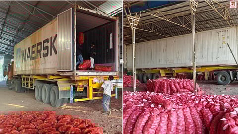 आखाती युद्धामुळे कांद्याची निर्यात तब्बल ४५ टक्क्यांनी घटली; कंटेनर वाहतूक खर्चात मोठी वाढ झाल्याचा परिणाम