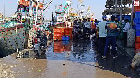 मच्छिमार 'संघर्षाच्या पवित्र्यात'; इंधन टंचाई आणि दरवाढीचा दुहेरी फटका, शेकडो बोटी बंदरातच उभ्या; रायगडमधील कोळी समाज संकटात