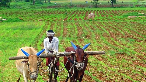 ४४ टक्के जमिनीवर १० टक्के धनदांडग्यांचा ताबा; जागतिक असमानता लॅबच्या अहवालात भारतातील परिस्थिती उघड