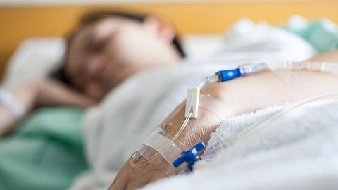 बांदा-दोडामार्गमध्ये माकडतापाचा संसर्ग; ५ रुग्ण आढळले; आरोग्य यंत्रणा सतर्क