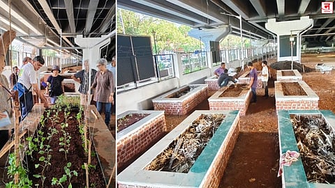 Mumbai : पार्ल्यात उड्डाणपुलाखाली पहिलाच शहरी शेती प्रकल्प; फळभाज्यांची लागवड, शहरी शेती अभ्यास वर्ग भरणार