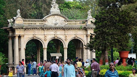 राणीबागेत लवकरच सिंह गर्जना घुमणार; महापौर गुजरातच्या सक्करबाग प्राणीसंग्रहालयाची पाहणी करणार