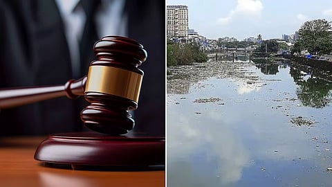 मिठी नदी गाळ उपसा घोटाळा : केतन कदमला जामीन मंजूर