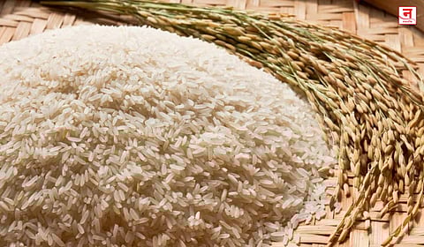 बासमती तांदूळ निर्यातीला पश्चिम आशियातील संकटाचा फटका; जहाजांच्या अवाजवी भाड्यामुळे निर्यातदार हवालदिल, सरकारकडे हस्तक्षेपाची मागणी