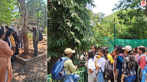 मुंबईतील झाडांची होणार शास्त्रीय नोंद; ८ वर्षांनंतर खासगी कंपनी करणार वृक्षगणना; झाडांची संख्या घटली की वाढली हे स्पष्ट होणार