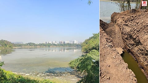 डीपीएस फ्लेमिंगो तलाव संवर्धनासाठी विकास आराखडा सुसंगत करा; राष्ट्रीय हरित लवादाचे सिडकोला निर्देश