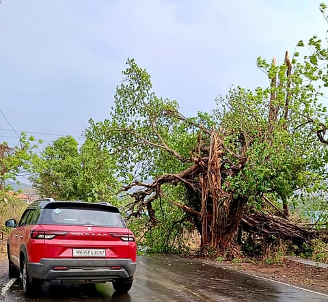 रायगड जिल्ह्यात वादळी वाऱ्यासह जोरदार पाऊस; तळा तालुक्यात वीज पडून मुलाचा मृत्यू