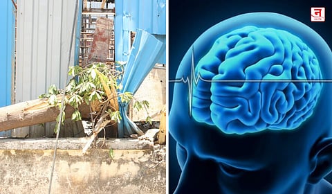Mumbai : रिक्षावर झाड कोसळले; जखमी मुलगी आता ब्रेन डेड
